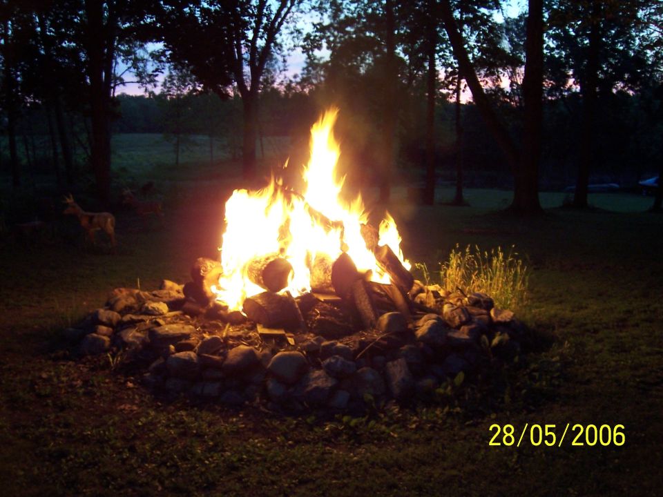 Bonfire in a stone ring at dusk, with trees and a deer in the background