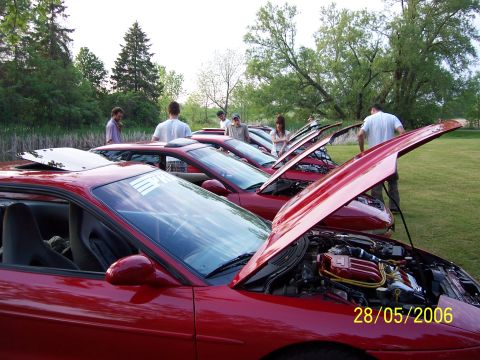 1996 Ford Probe - A group of red coupes are displayed with their hoods open at an outdoor gathering.