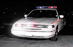 1998 Ford Crown Victoria - A white police car is parked at night, its emergency lights flashing.