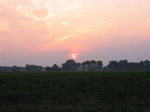 2004 Ford F-150 - A beautiful sunset paints the sky with pink and orange hues over a vast agricultural field.
