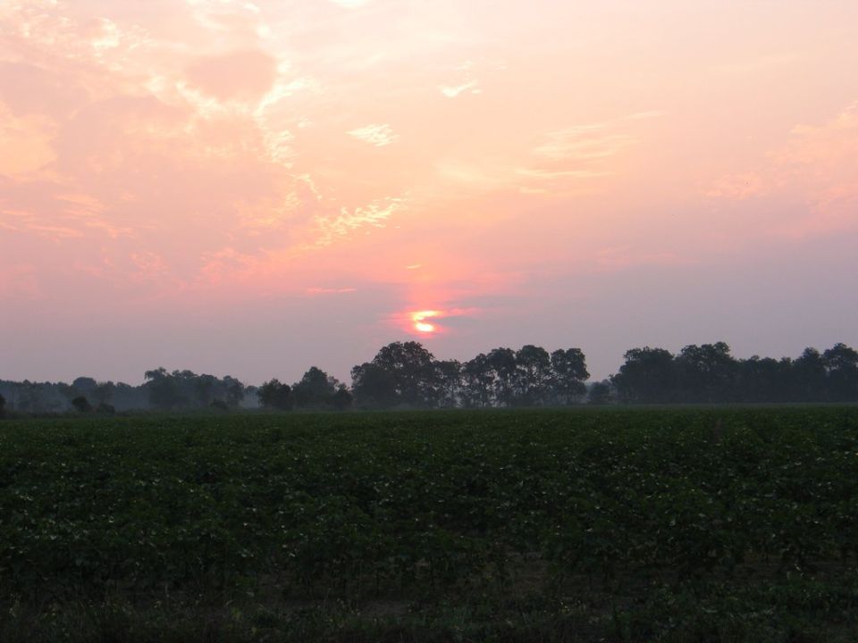 Sunset over a field with trees in the distance. Supermotors.net logo in the corner