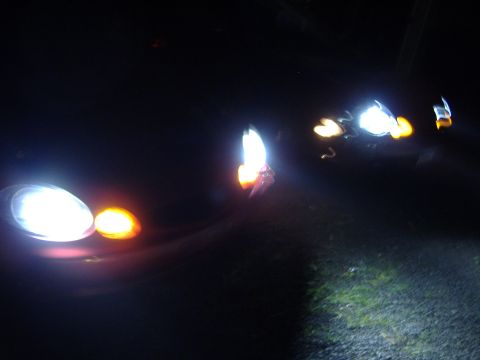 1998 Ford Taurus - The distinctive headlights and amber turn signals of a 1998 Ford Taurus are visible at night.