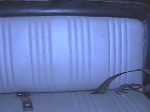 1979 Ford Bronco - Rear seat upholstery and seatbelt visible inside the 1979 Ford Bronco.