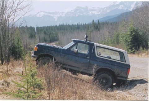 1988 Ford Bronco - This SUV navigates a dirt path through a wooded area with mountains in the distance.