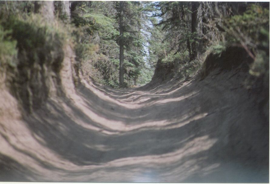 Dirt road winding through a forest with trees on either side. Supermotors.net logo in lower right