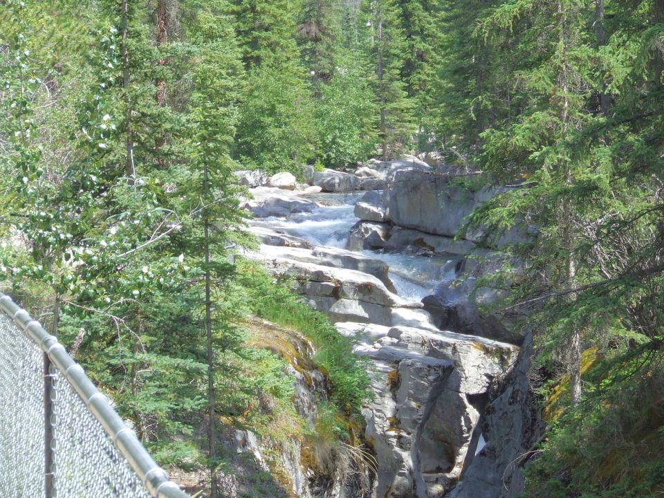 Rocky river rapids with trees and a chain-link fence