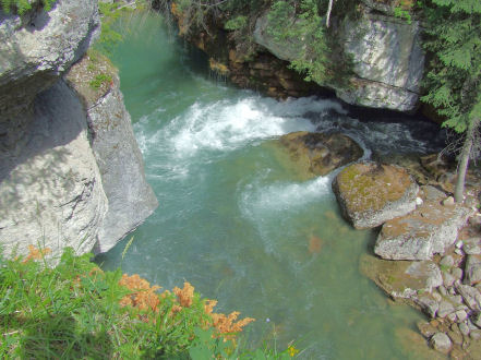 1988 Ford Bronco - A scenic view of river rapids in a rocky gorge, with lush greenery and trees surrounding the water.