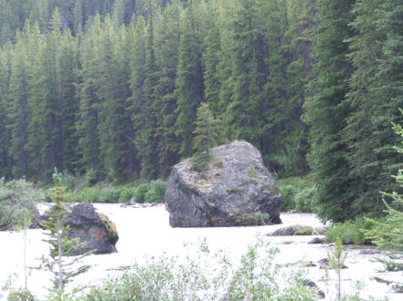 1988 Ford Bronco - A wide riverbed with large boulders is surrounded by a dense pine forest.