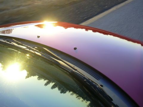 1997 Ford Probe - Sunlight glints off the hood and windshield of a red car, reflecting trees and the road.
