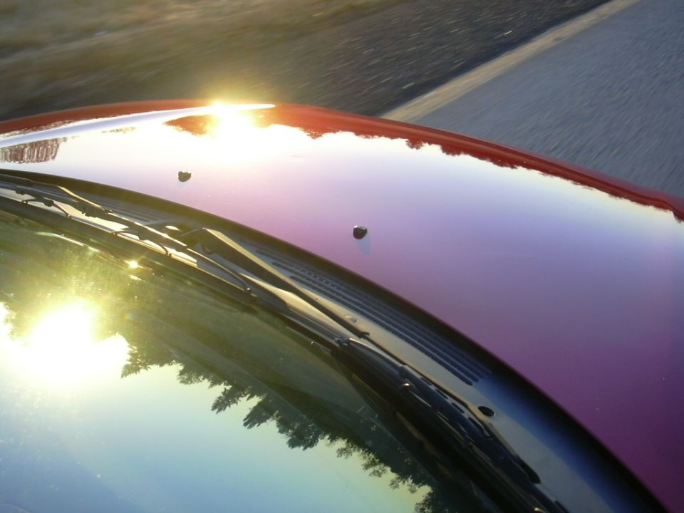Red car hood and windshield with sun glare, reflection of trees and road