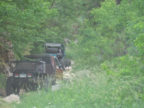 1981 Ford Bronco - Modified off-road vehicles navigate a challenging trail surrounded by dense foliage.
