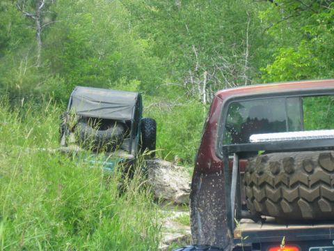 1981 Ford Bronco - Two off-road vehicles are seen navigating a trail surrounded by dense foliage and tall grass.