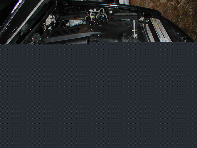 Engine bay with black plastic covers and silver radiator. Some hoses and wiring are visible