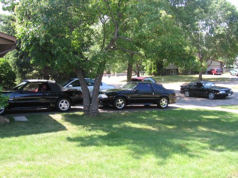 1989 Ford Mustang - B.S.M.