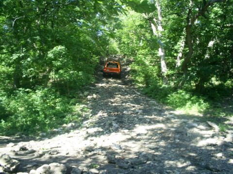1994 Ford Bronco - An orange SUV navigates a challenging, rocky path through a dense forest.