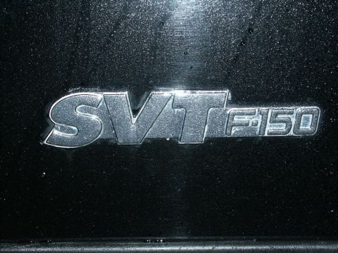 2001 Mercury Grand Marquis - A close-up view of the SVT F-150 emblem is visible on the vehicle's exterior.