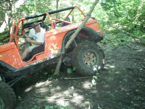 1994 Ford Bronco - This off-road vehicle appears to be stuck on a wooded trail, with a tree branch leaning against it.