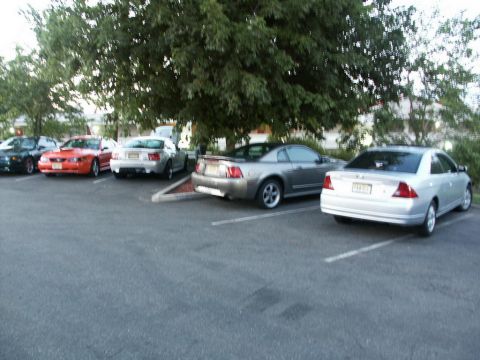 2001 Mercury Grand Marquis - Multiple Ford Mustangs are parked in a lot, some in shade from a large tree.