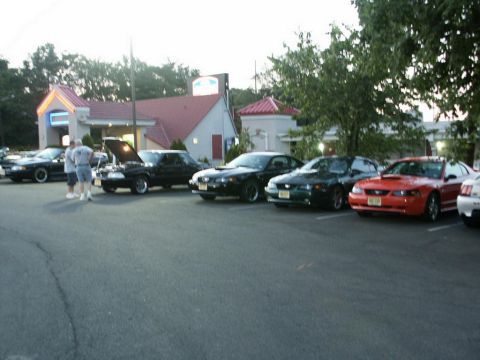 2001 Mercury Grand Marquis - A group of Mustangs are gathered in a parking lot outside a building.