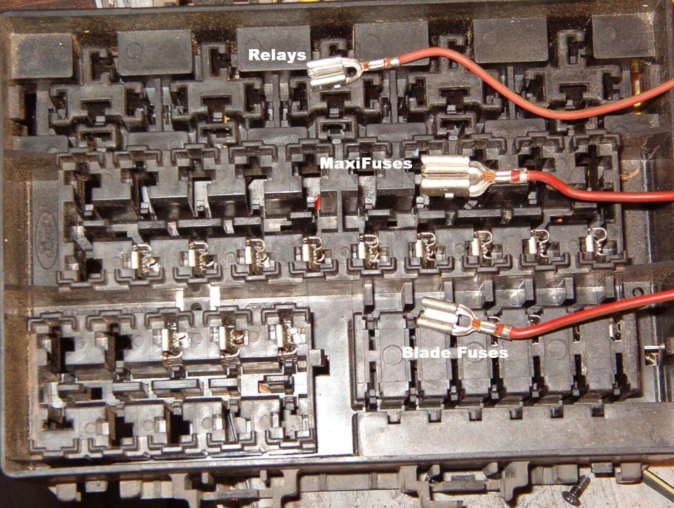 Fuse box with red wires and printed labels reading Relays, MaxiFuses, and Blade Fuses