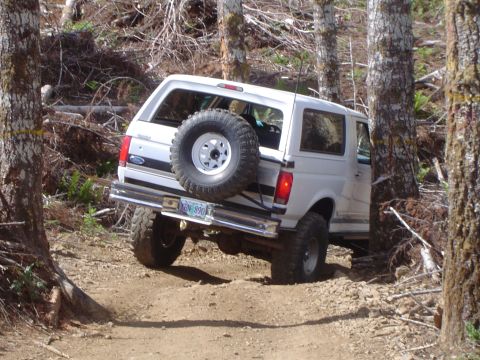 1989 Ford Bronco - White Ford Bronco navigates a wooded trail with a spare tire mounted on the back.