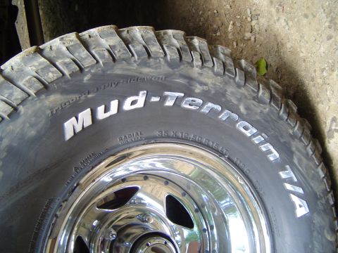 1989 Ford Bronco - Ran up a burm and my tire hit the bumper, right across the letters