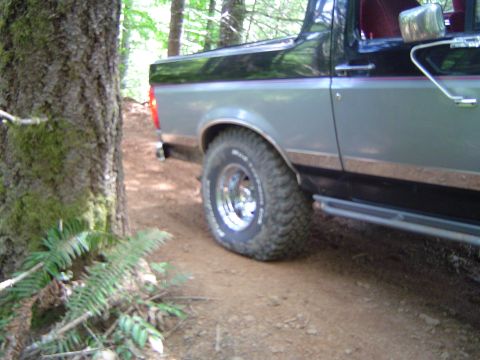 1989 Ford Bronco - 1989 Ford Bronco driving on a dirt path through a wooded area.