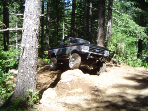 1989 Ford Bronco - A lifted 1989 Ford Bronco navigates a challenging off-road path through a dense forest.
