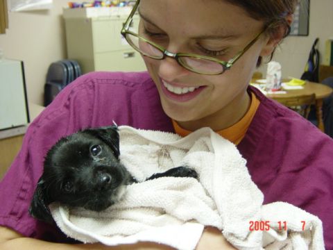 1995 Ford Probe - A woman smiles while holding a small black puppy wrapped in a towel.