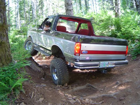 1989 Ford Bronco - I found a another stump. This one caused MAX flex ^^