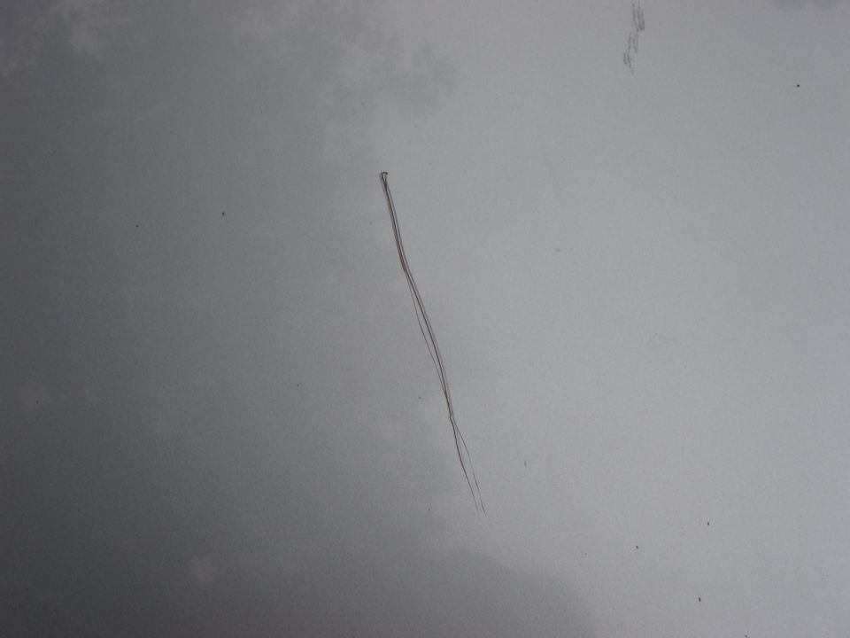 Close-up of long scratch in silver-gray automotive paint with cloud reflections