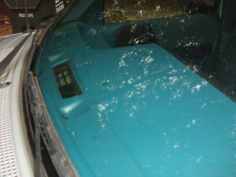 1994 Mazda B3000 - Teal dashboard and windshield area of a truck, with visible specks and a vent. Text on a nearby trash bin is readable.