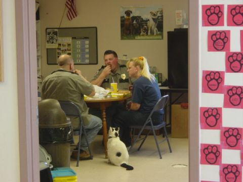 1995 Ford Probe - A group of people are gathered around a table, sharing a meal, while a cat observes from the floor.