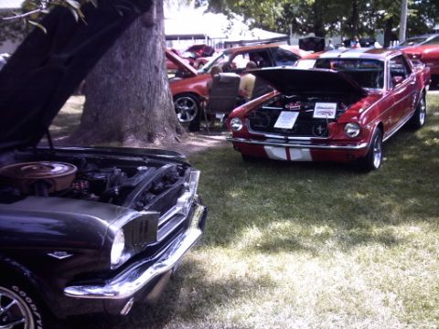 1995 Ford Probe - Two classic Ford Mustangs are displayed with their hoods open at an outdoor car show.
