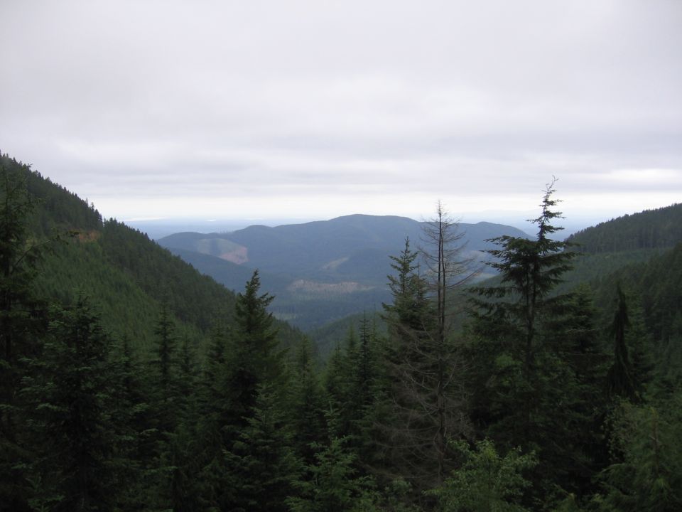 Overcast view down a forested mountain valley with conifers and ridgelines fading into haze