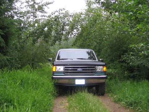 1990 Ford Bronco - This early 1990s Ford F-Series truck is parked on a dirt road, with dense foliage on either side.
