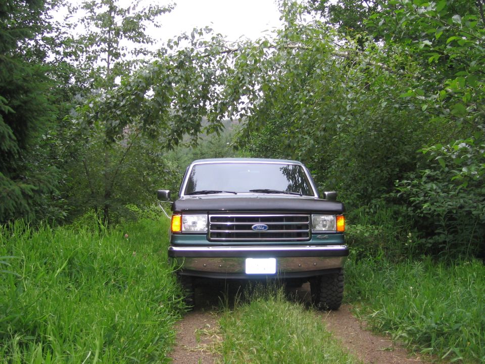 Front view of a green Ford F-Series truck from the early 1990s parked on a dirt path surrounded by trees and tall grass
