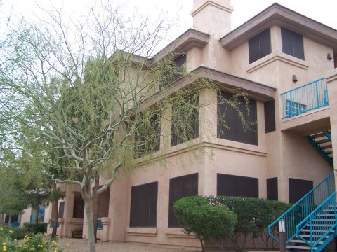 1995 Ford Probe - Exterior view of a building with a tree and blue stairs, showing a watermark at the bottom.