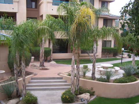 1995 Ford Probe - A sunny courtyard scene with palm trees and outdoor seating is pictured.