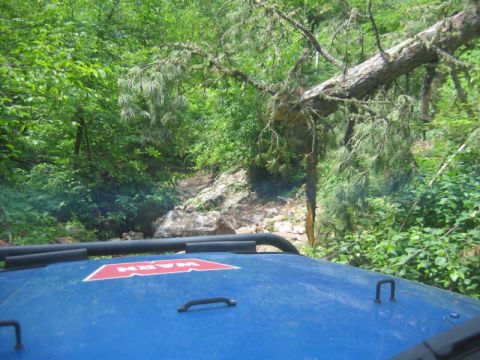 1981 Ford Bronco - Navigating a challenging off-road trail with a fallen tree obstructing the path.