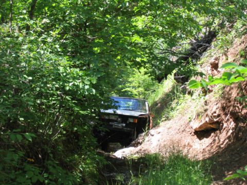 1981 Ford Bronco - A vehicle navigates a challenging off-road trail surrounded by dense foliage and steep terrain.