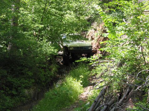 1981 Ford Bronco - A light green 1980 Ford Bronco navigates a narrow, overgrown trail through dense woods.
