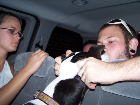 1995 Ford Probe - People and a dog are inside a vehicle, with the dog being held by a man.