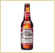 1991 Ford Bronco - A single bottle of Budweiser beer with its label clearly visible.