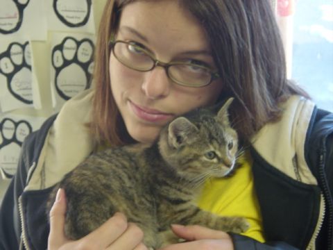 1995 Ford Probe - A woman holds a small tabby kitten in front of paw print decorations on a wall.
