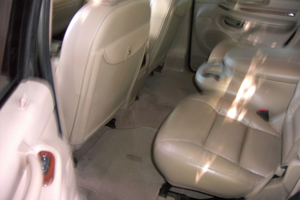 Tan leather car interior showing rear seats and door panel