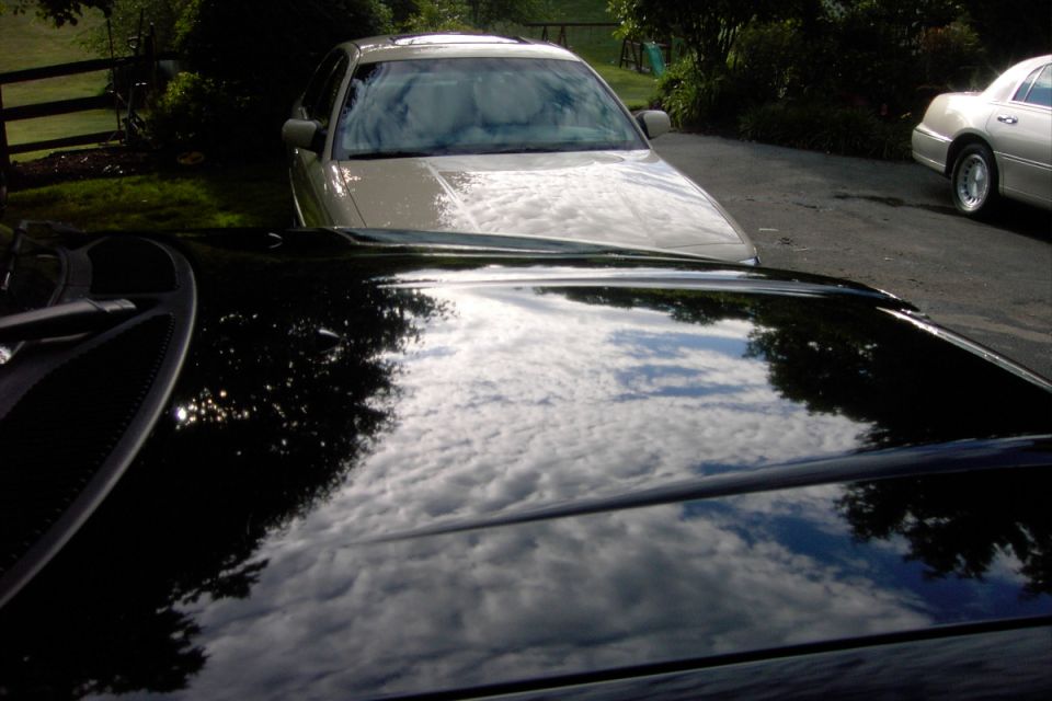 Reflective black car hood facing a beige full-size sedan in a driveway