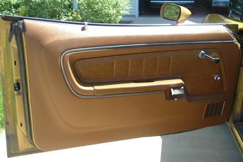 1972 Ford Torino - Drivers door panel