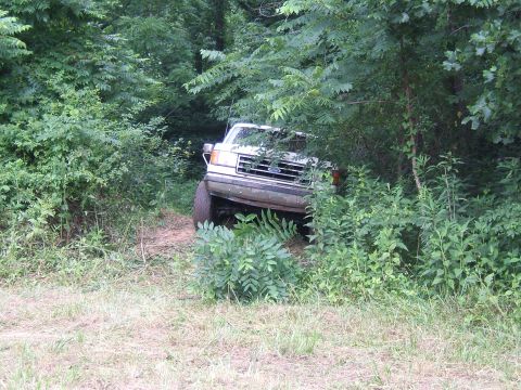 1993 Ford Bronco - A white SUV navigates a wooded area, its front end visible amongst the dense foliage.