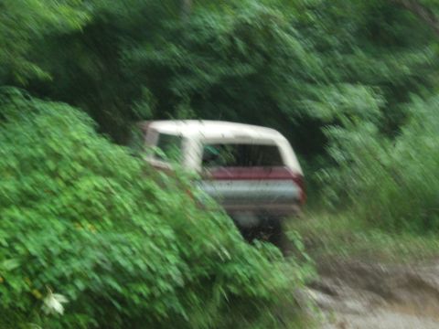 1993 Ford Bronco - A white and red SUV is partially hidden by dense green foliage on a dirt road.